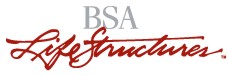 BSA  Life Structures