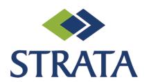 Strata Systems Inc
