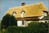 McGee & Co. Roof Thatching