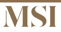 MSI STONE