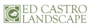 ED CASTRO LANDSCAPE