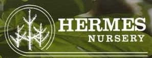 HERMES NURSERY