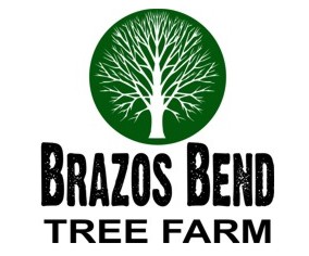 Brazos Bend Tree Farm