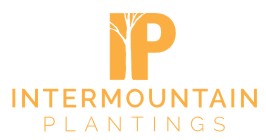 IP INTERMOUNTAIN PLANTINGS