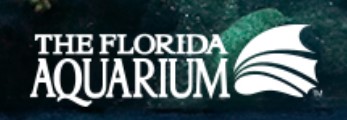 THE FLORIDA  AQUARIUM