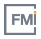 FMI  MANAGEMENT CONSULTING AND INVESTMENT BANKING