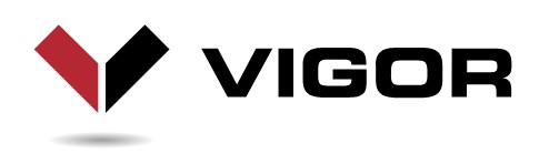 VIGOR SHIP BUILDING