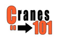 Cranes 101